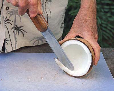 Universal Coconut Knife