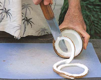 Universal Coconut Knife